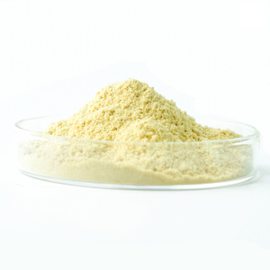 Acide usnique