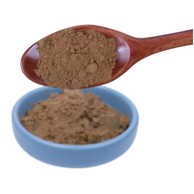 Extrait de Ganoderma lucide Extrait de champignon Reishi 35%