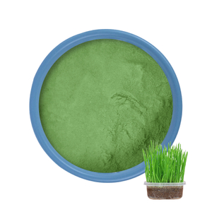 Poudre d&#39;herbe d&#39;orge