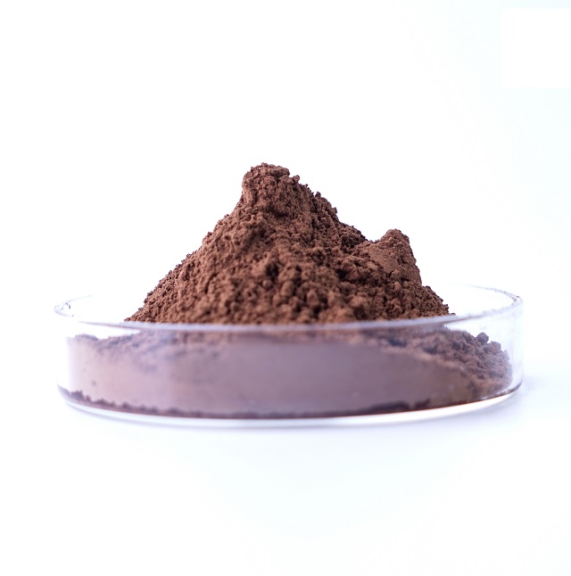 Extrait de pépins de raisin OPC95%
